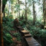 cropped-Top-10-Things-to-Do-in-Tofino-BC-Canada.jpg